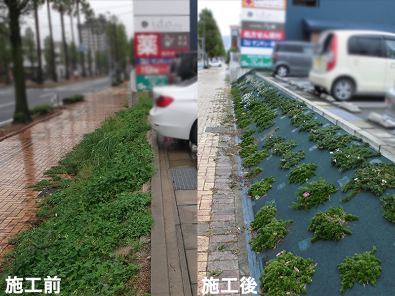 ナックス®︎ G300