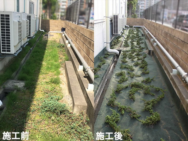 ナックス®︎ G300