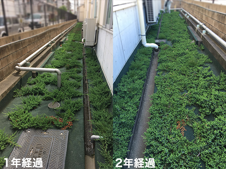 ナックス®︎ G300