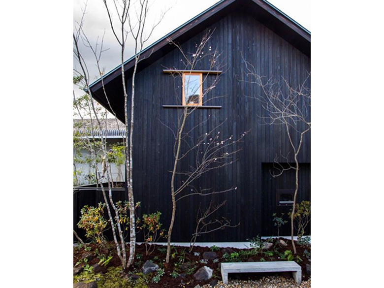 焼杉板 (ブラシ)