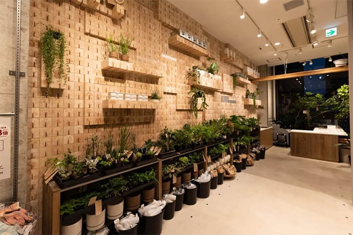 不燃木材 「もえーせん」