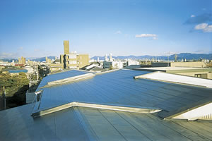 勾配屋根防水工法<br><br>
【ダンスラントルーフ】