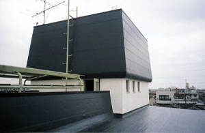 勾配屋根防水工法<br><br>
【ダンスラントルーフ】