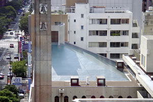 勾配屋根防水工法<br><br>
【ダンスラントルーフ】