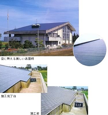 勾配屋根防水工法<br><br>
【ダンスラントルーフ】