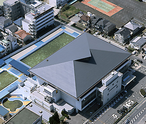 勾配屋根防水工法<br><br>
【ダンスラントルーフ】