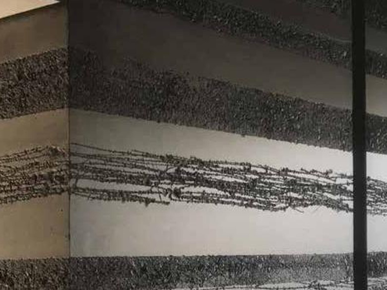 モールドスター×オシロックス