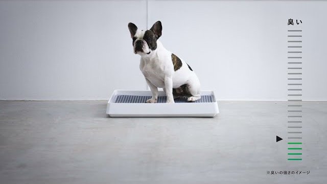 ペット想いの除菌脱臭機「QAIS-air-04A1J」|サンスター技研株式会社