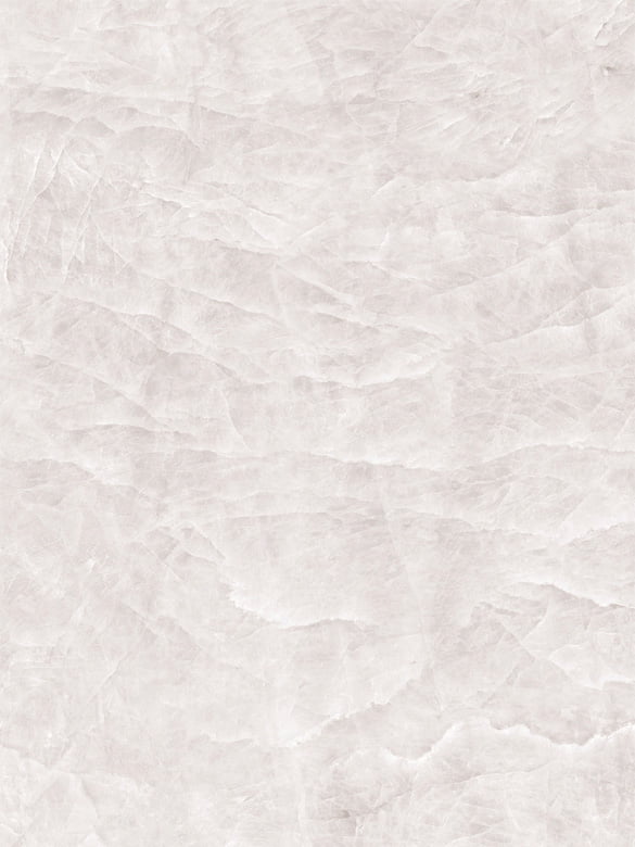 タージマハル/株式会社日東製陶所