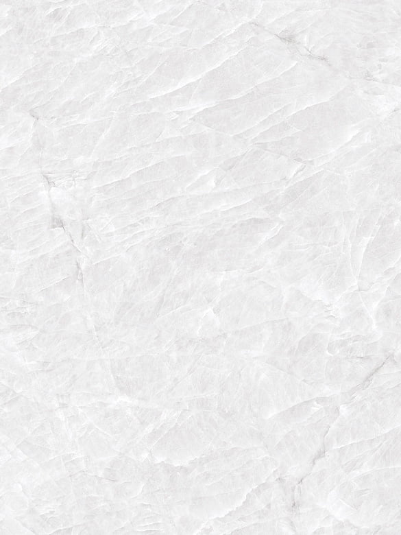 タージマハル/株式会社日東製陶所