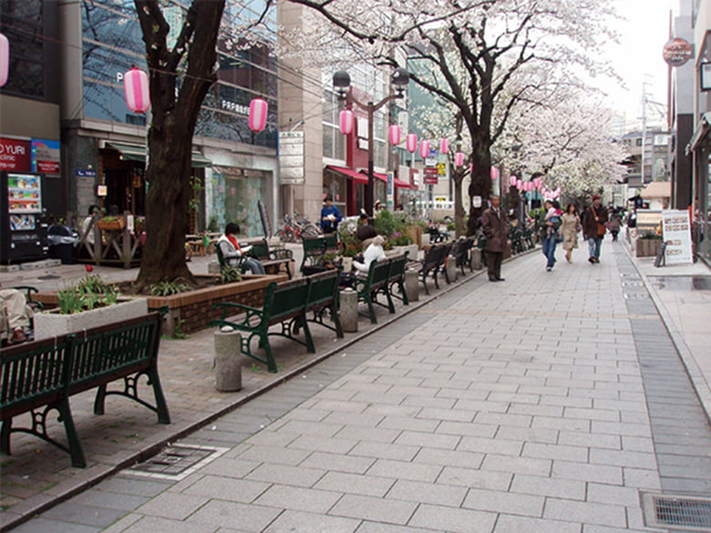 プレシオムック