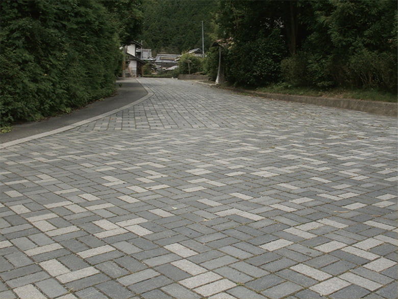 プレシオムック