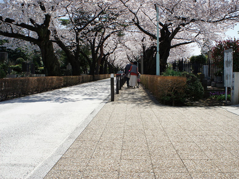 オーシャンぺブル