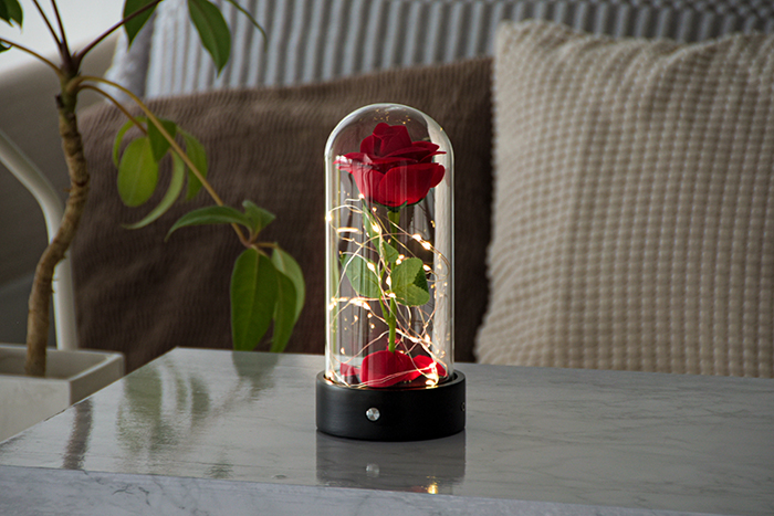 Lufine(ルフィネ)