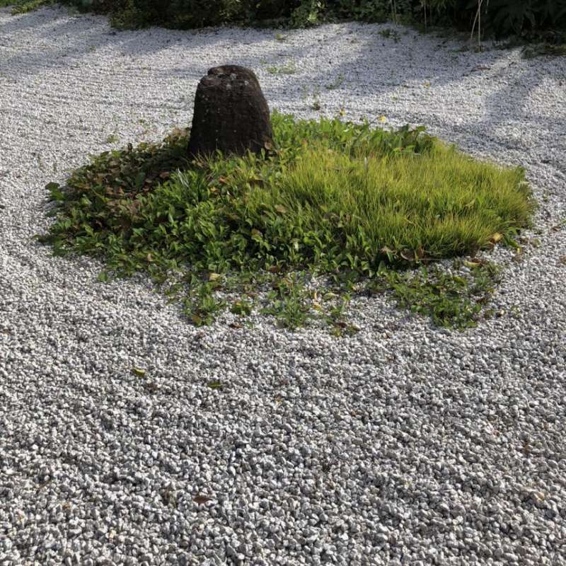 新白川 / 株式会社大光産業