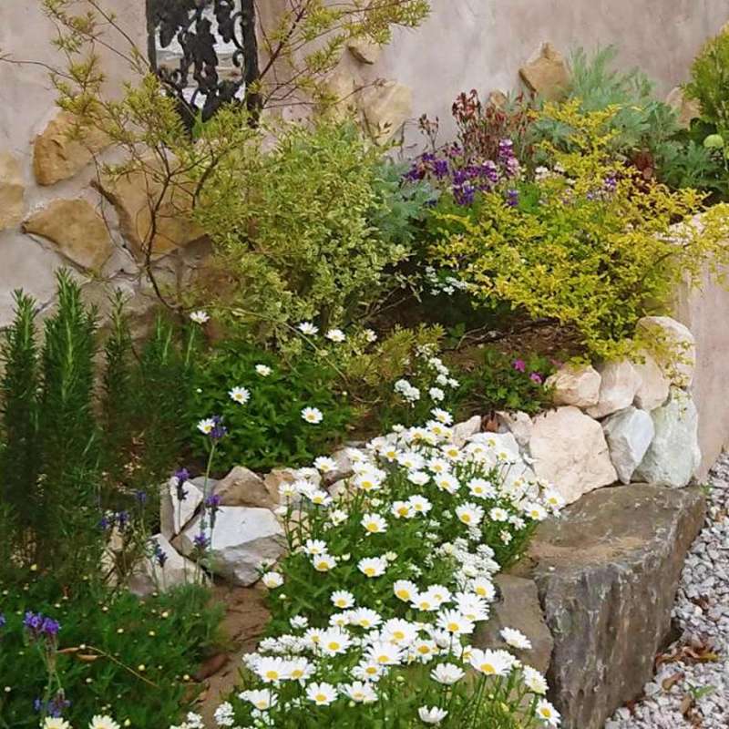 マーブルイエローゴロタ / 株式会社大光産業