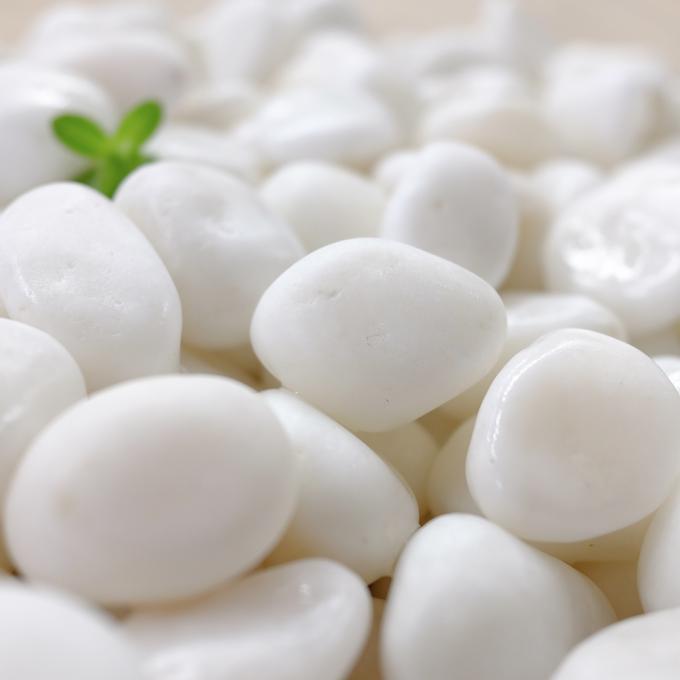 白仙 / 株式会社大光産業