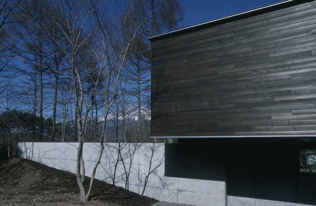 レッドシダー 本実サイディング