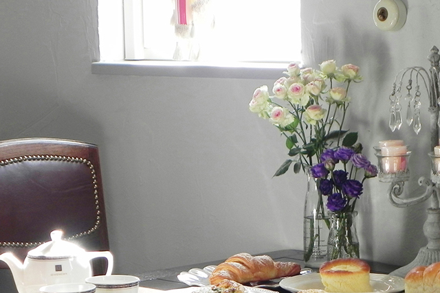 西洋漆喰 【コーラル テックス】