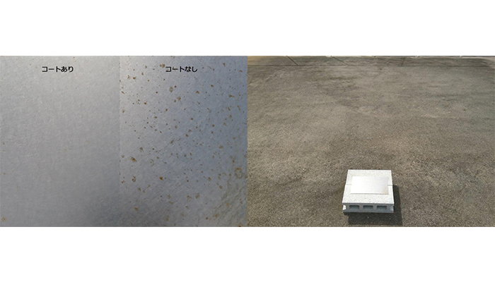 ピュアフェルテ®