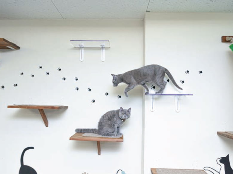 キャットステップ(平面用)/タカラ産業株式会社