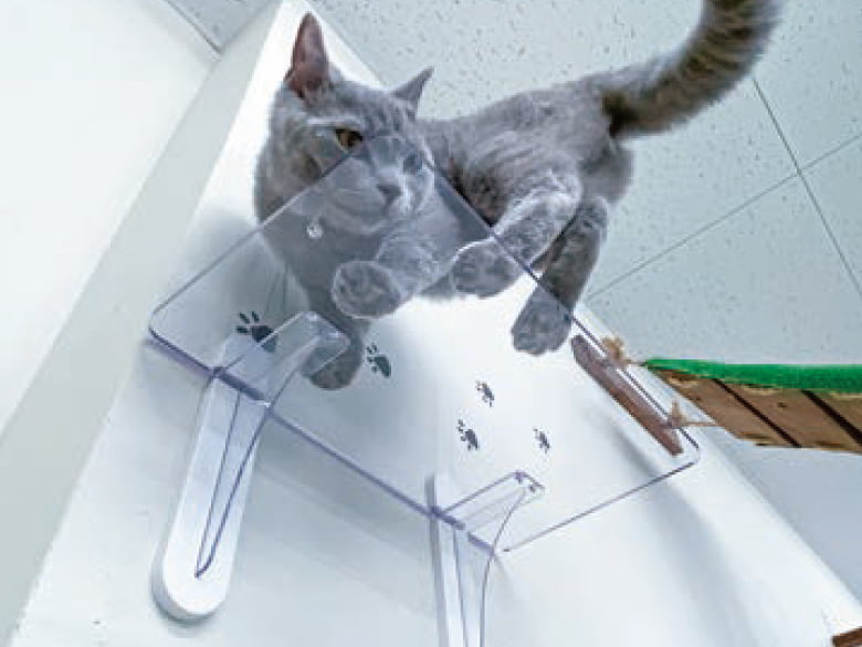 キャットステップ(平面用)/タカラ産業株式会社