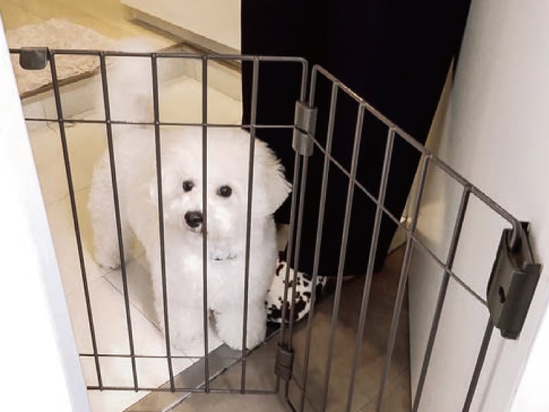 ドア用犬フェンス「Welcome Dog Fence」/タカラ産業株式会社