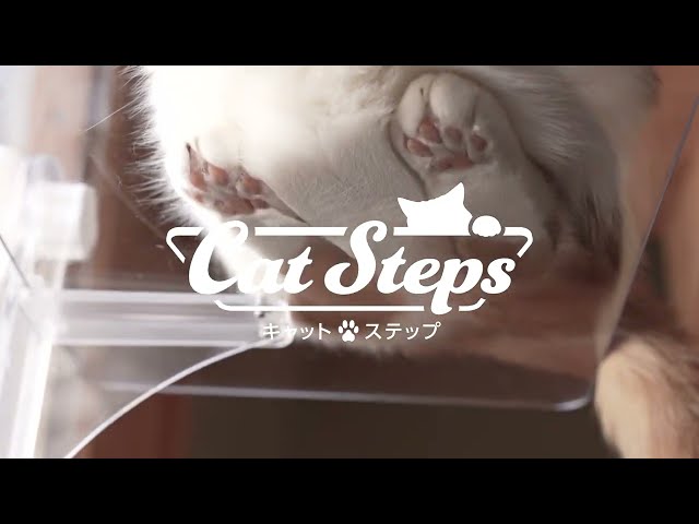 施工不要!窓に取り付ける透明なキャットステップ