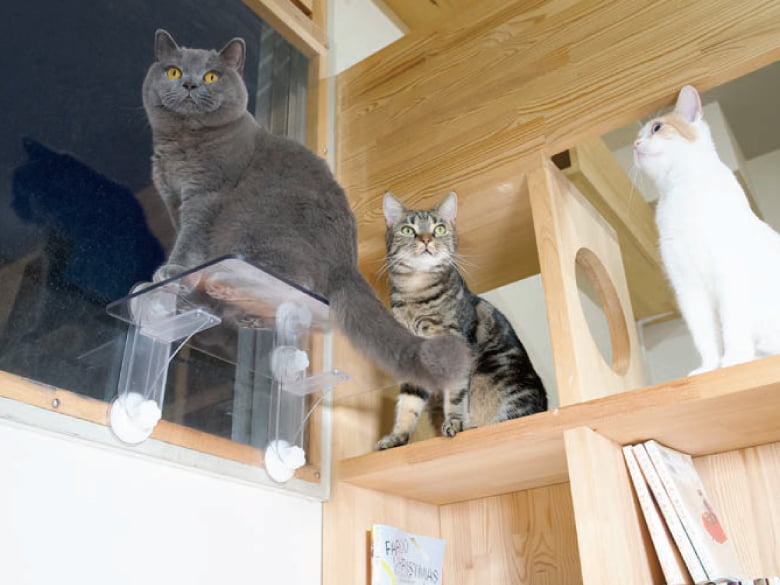 キャットステップ(窓用)「PE4022」