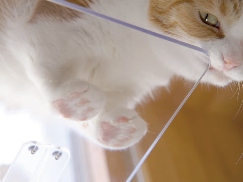 キャットステップ(窓用)「PE4022」