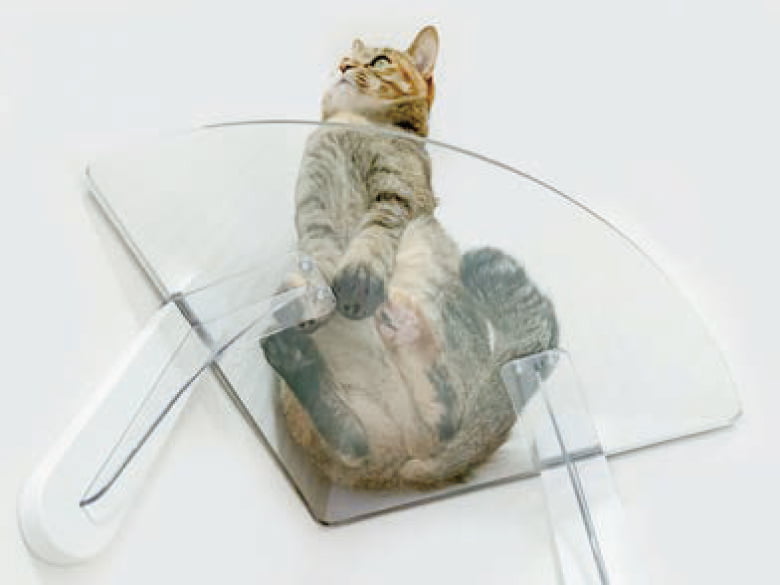 キャットステップ(平面用)「PC4022」