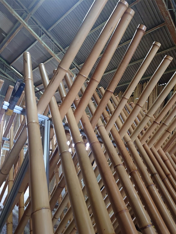 炭化煤竹(たんかすすたけ)