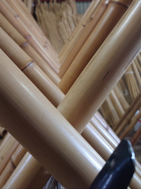 炭化煤竹(たんかすすたけ)