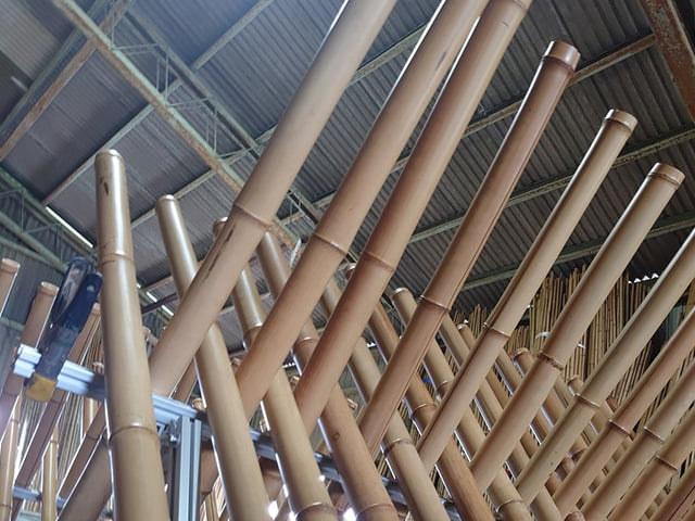 炭化煤竹(たんかすすたけ)