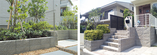 メガエディ エディ・イレブン