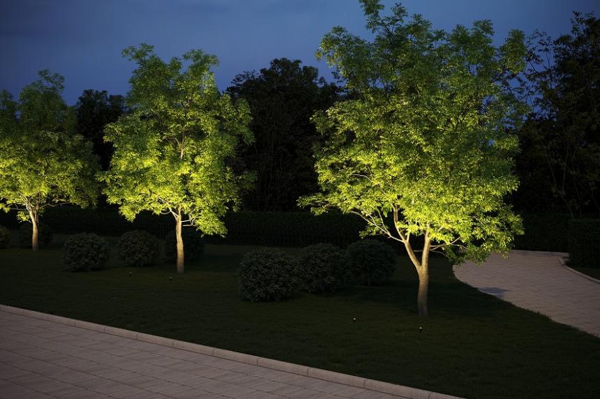 TOKISTAR クロマスタ スポット