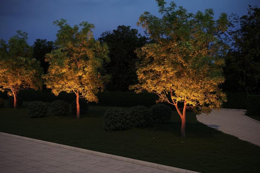 TOKISTAR クロマスタ スポット