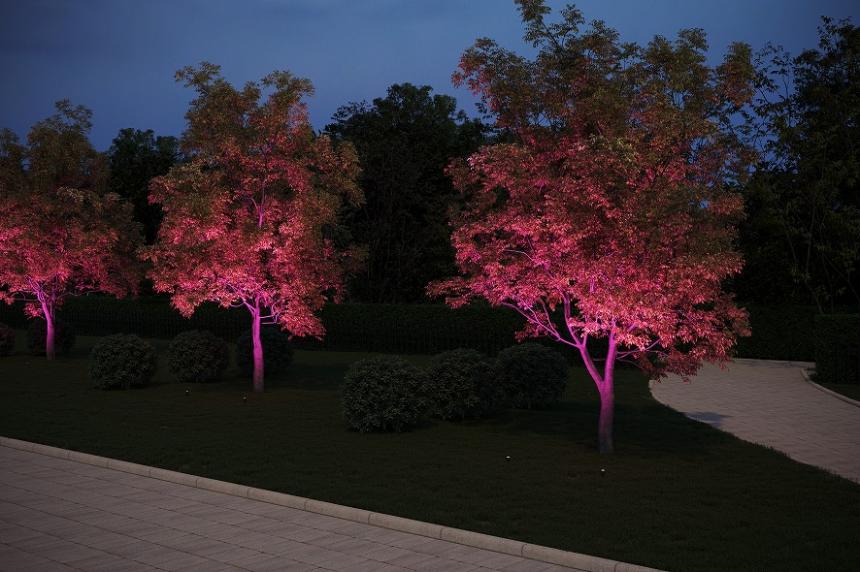 TOKISTAR クロマスタ スポット