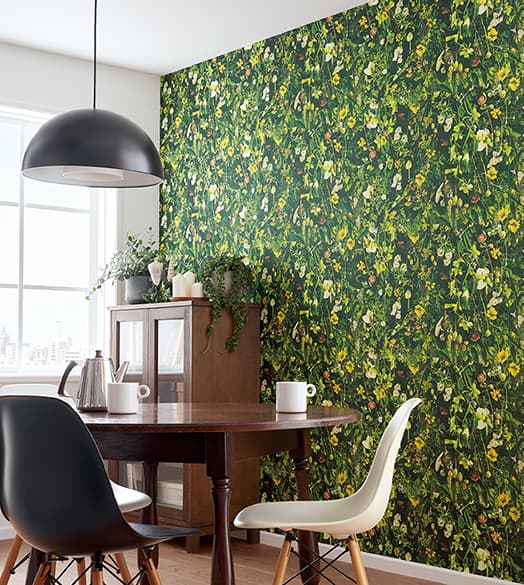 TOKIWA×日比谷花壇(青い花畑)