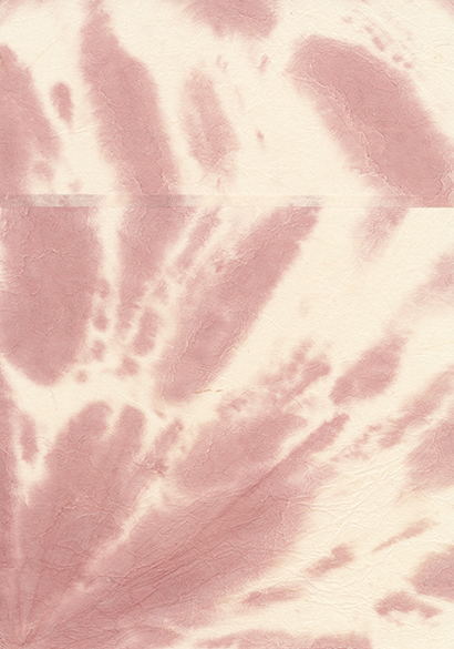 KOZO Ⅳ(コウゾ6) 花筏 /株式会社トミタ