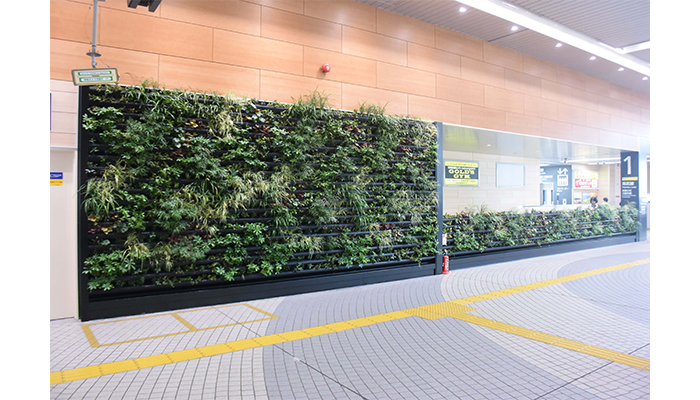 壁面緑化【トスラシステム】