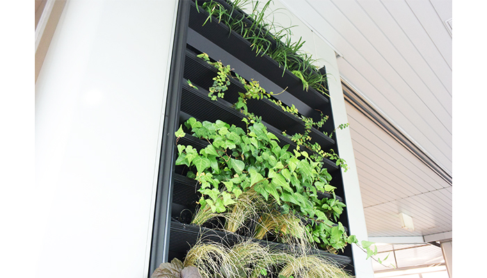 壁面緑化【トスラシステム】