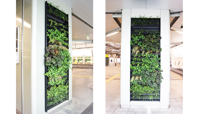 壁面緑化【トスラシステム】