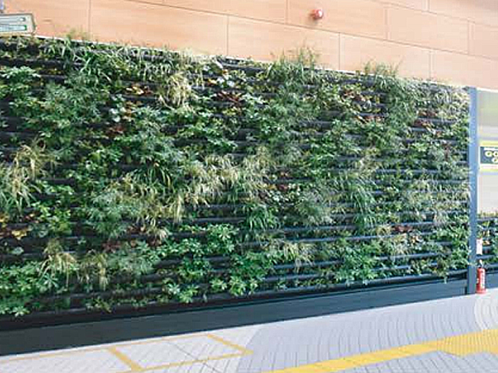 壁面緑化【トスラシステム】(屋内用)