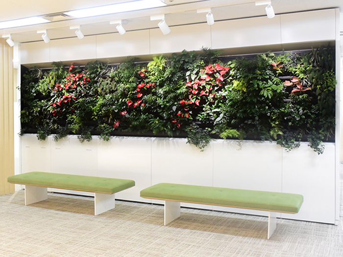 壁面緑化【トスラシステム】(屋内用)
