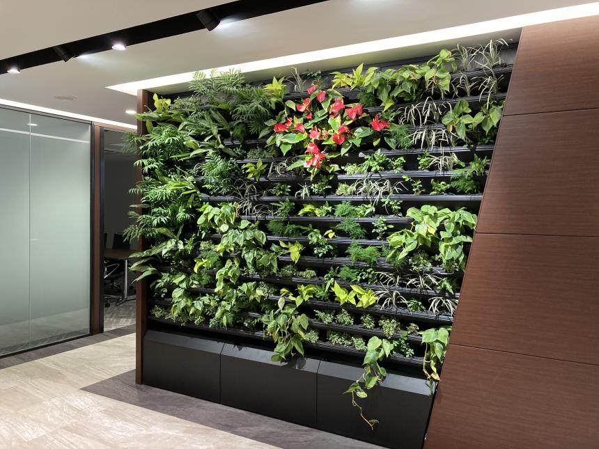 壁面緑化【トスラシステム】(屋内用)