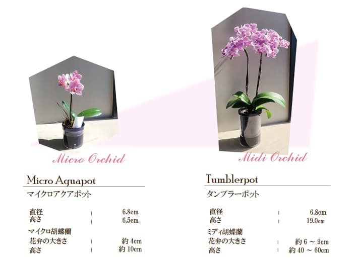 フラワーロス削減プロジェクト