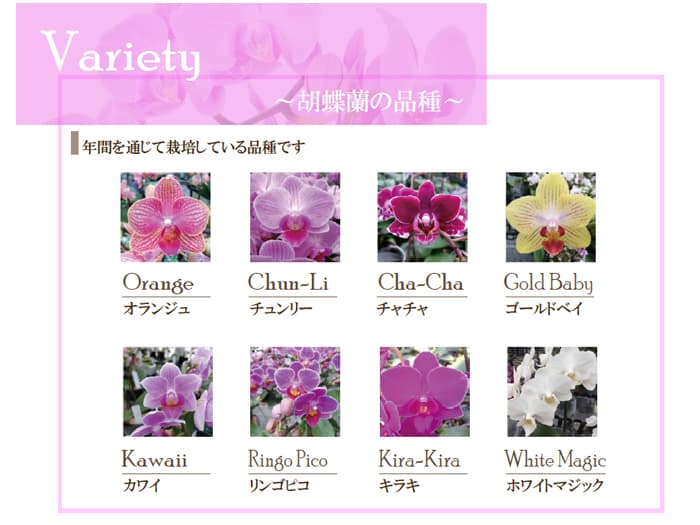 フラワーロス削減プロジェクト