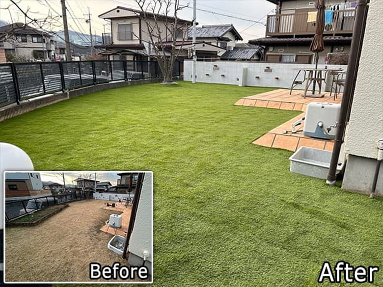 デラックス芝丈 38mm