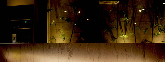 2Dステンレス建材【梅枝】